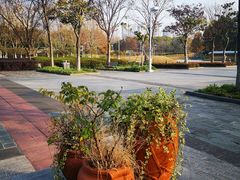 -白塘生态植物园