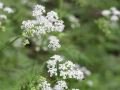 -南山风景名胜区