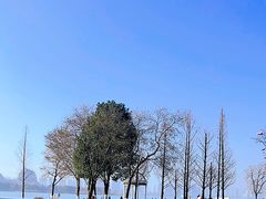 -西山漾湿地公园