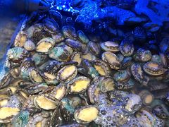 小鲍鱼-喜庭海鲜自助(来福士店)