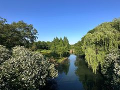 -贡湖湾湿地公园