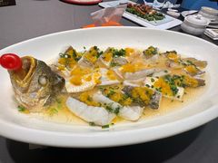 -骏莱海鲜鱼港(五角场店)
