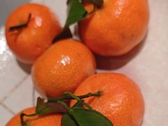 -沈灶河豚宴·河豚融合餐厅(汉中路店)