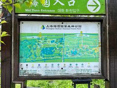 -上海海湾国家森林公园