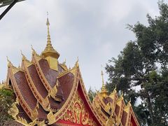-曼听御花园