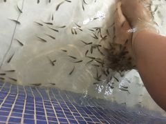 -水晶之星洗浴温泉汗蒸