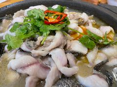 -大鼎石锅鱼(春江里店)