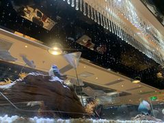 -红辣椒·川菜·火锅(张杨路店)