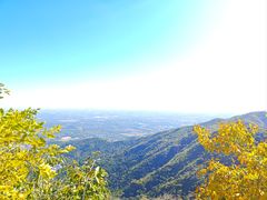 -香山公园