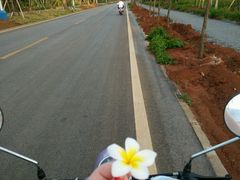 -花乐餐厅(涠洲岛店)