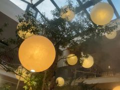 -馋嘴猫北京食堂·烤鸭·宵夜(亚运村店)