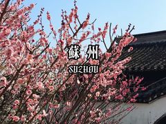 -雨花胜境