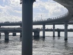 -演武大桥观景平台