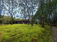 -九曲溪竹筏码头