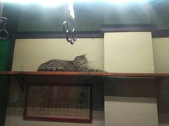 -猫咪博物馆(顶澳仔猫街店)