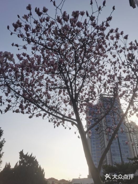 马濠公园图片