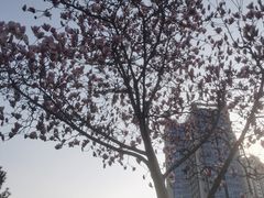 -马濠公园