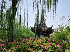 -荣国府