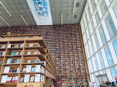 -朵云书院(滴水湖店)