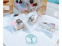 -树咖啡tree coffee