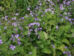 iphone_upload_pic-溱湖国家湿地公园