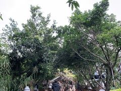 -悦哉·派对·草坪婚礼·围炉煮茶(三圣乡店)