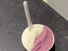 -Dip in Gelato(富民路店)