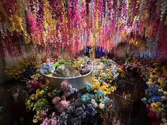 -正佳自然科学博物馆