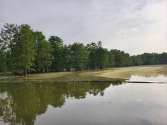 -池杉湖湿地公园