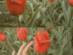 -长春公园(普阳街道)