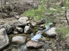 -玉渡山自然风景区