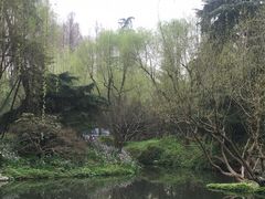 -柳浪闻莺公园