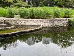 -成都市活水公园