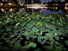-西海子公园