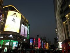 -九斤黄三黄鸡专卖店