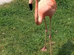 -秦皇岛野生动物园