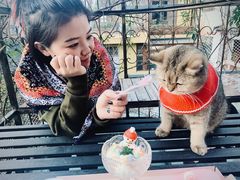 -喵屿·大理花园猫咖