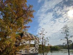 -昆山城市生态森林公园