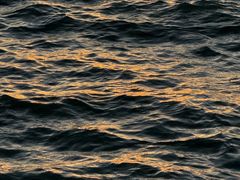 -贡湖湾湿地公园