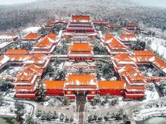 -开福禅寺