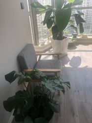 -一个差评成就的纹眉店