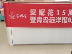 -安妮花英语·少儿·原版阅读(青岛远洋中心馆店)
