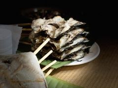 -杨合林啊兰烤鱼