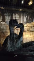 -酷嗒动物文化乐园(cutezoo西溪乐天城店)