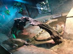 -西安秦岭野生动物园