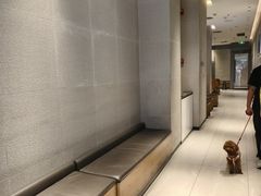 -喜茶(东莞汇一城店)