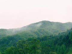 -参仙谷生态旅游度假区