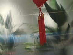 -悦海·家宴·冰花皮皮虾大锅贴(宝龙店)