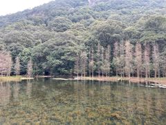 -广州市石门国家森林公园