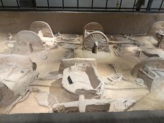 -洛阳周王城天子驾六博物馆